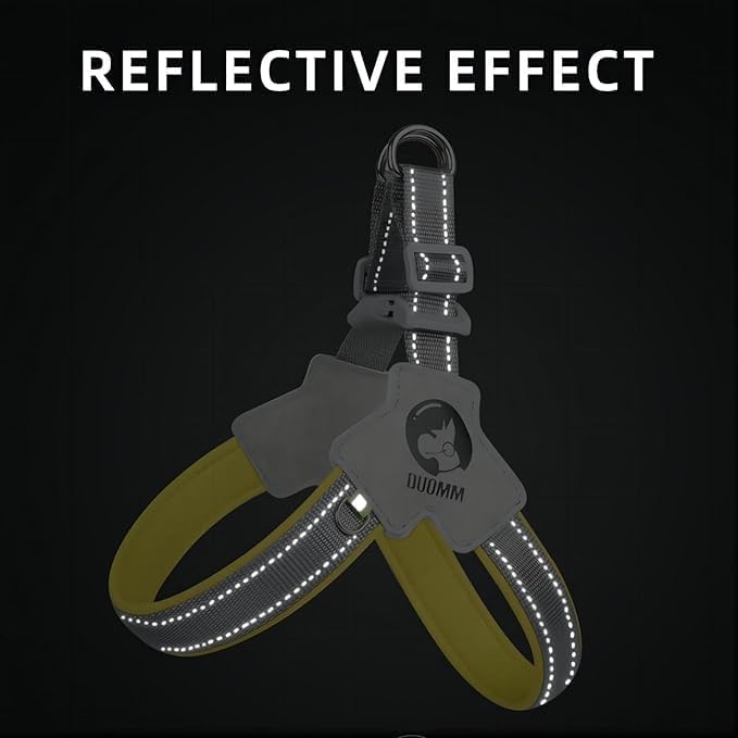 Pet Dog Cat Harness, Pet Harness with Leash Set, Adjustable Puppy Harness Comfortable Reflective Easy Control Dog with Leather Leash, No-Pull No Choke Pet Harness for Training Walking