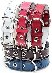 Genuine Leather Dog Collars with Stainless Steel Buckle and Double D Rings– Unbreakable! (18"-21", Tan)