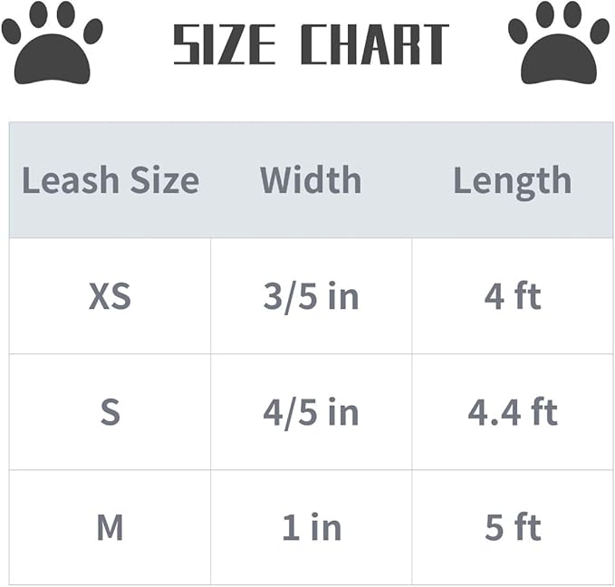 Lionet Paws Patriotic 4th of July American Flag Dog Leash Matching Dog Collar for Small Medium Large Dog