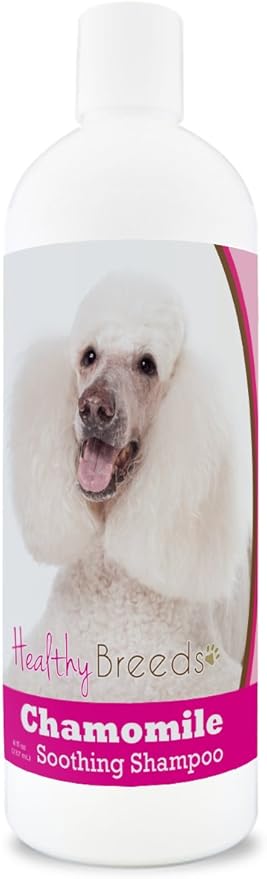 Healthy Breeds Poodle Chamomile Soothing Dog Shampoo 8 oz