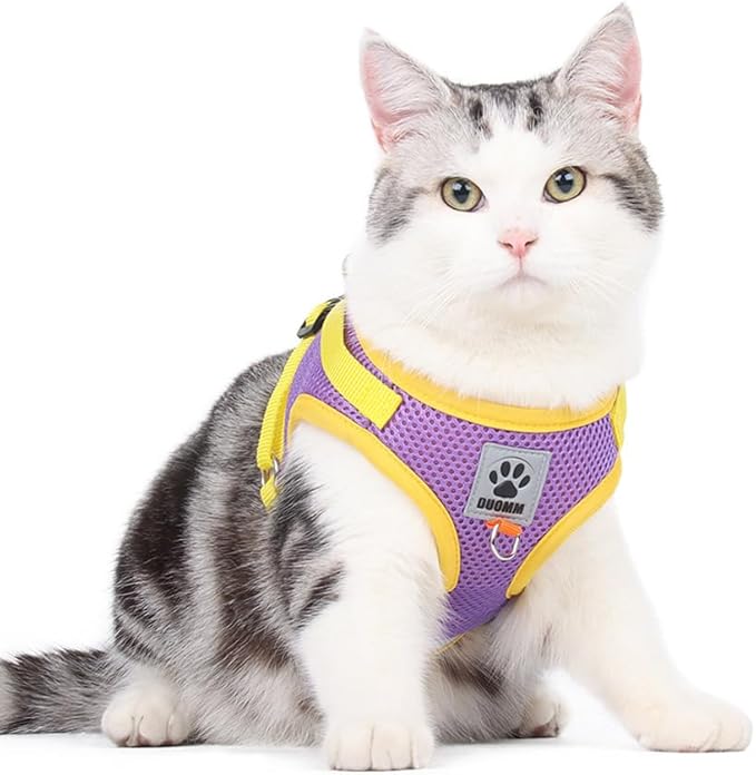 leconpet Dog Harness and Leash Set, Reflective Step in Harness Vest Set-Hook and Loop Fasteners and Buckle Design Combined with Double D Ring on The Back and Chest Ring (Purple, XS)