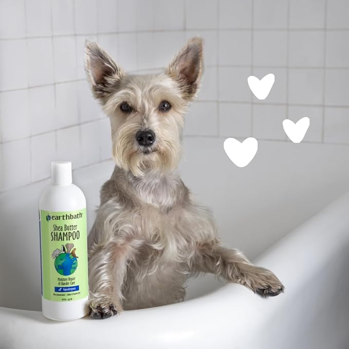 earthbath, Shea Butter Shampoo - Hypoallergenic Dog Shampoo, Plant-Based, Cruelty-Free, Vegan, Gluten-Free, Non-GMO, Made in USA, Moisutre Repair & Dander Care - 16 Oz (1 Pack)