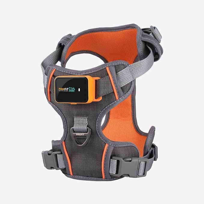 Orange Tracker Cover Case
