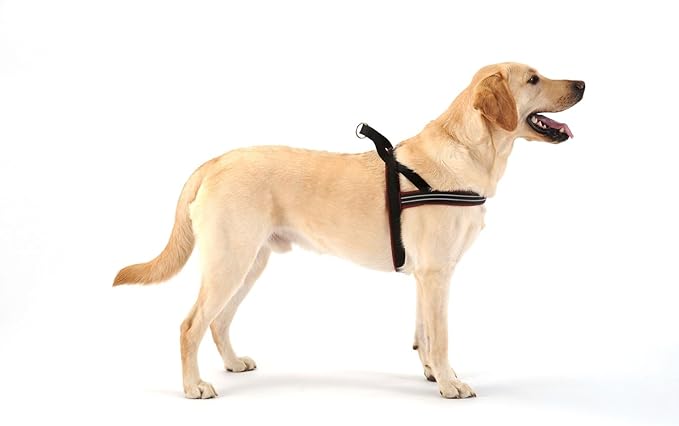 ComfortFlex Sport Harness - American Made No Pull Teacup Dog Harness - Lightweight, Padded, Reflective No Rub Harness for Walking, Running and Control - Petite, Red