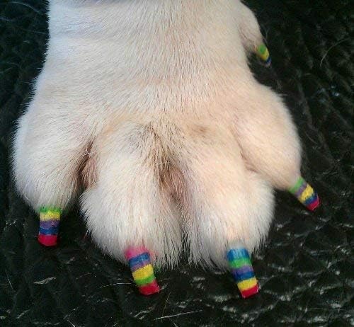 Warren London Pawdicure Dog Nail Polish Pens | Made in USA | Quick Dry, Low Odor, Non-Toxic Dog Accessories | Ideal for Dog Birthday, Dog Costume | 13 Colors | Yellow