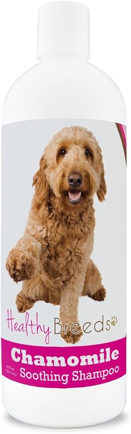 Healthy Breeds Goldendoodle Chamomile Soothing Dog Shampoo 8 oz