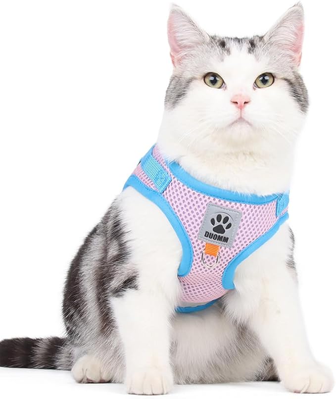 leconpet Dog Harness and Leash Set, Reflective Step in Harness Vest Set-Hook and Loop Fasteners and Buckle Design Combined with Double D Ring on The Back and Chest Ring (Pink, XL)
