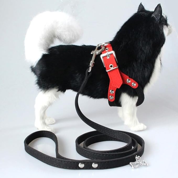 Avenpets Soft Adjustable Eyeglass Dog Harness No-Pull Breathable Velvet Pet Vest for Small Medium Dogs Easy Control Harness, Black, M
