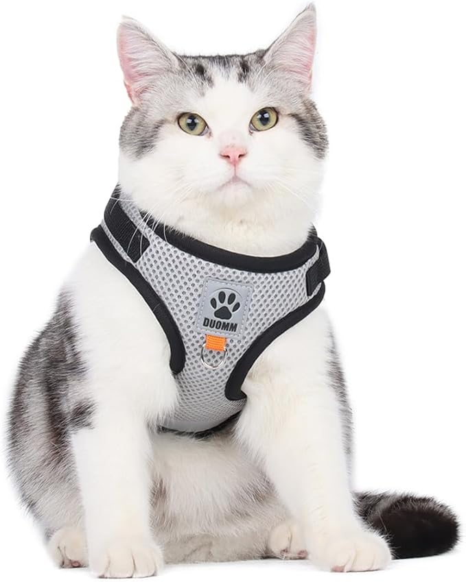 leconpet Dog Harness and Leash Set, Reflective Step in Harness Vest Set-Hook and Loop Fasteners and Buckle Design Combined with Double D Ring on The Back and Chest Ring (Grey, M)