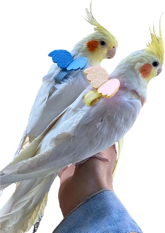 TBWHL Adjustable Parrot Bird Harness Leash Set Anti-bite Training Harness for Parrots Outdoor Flying Rope for Pigeon Grey Parrot Midsize Sulphur-Crested Cockatoo L (Yellow)