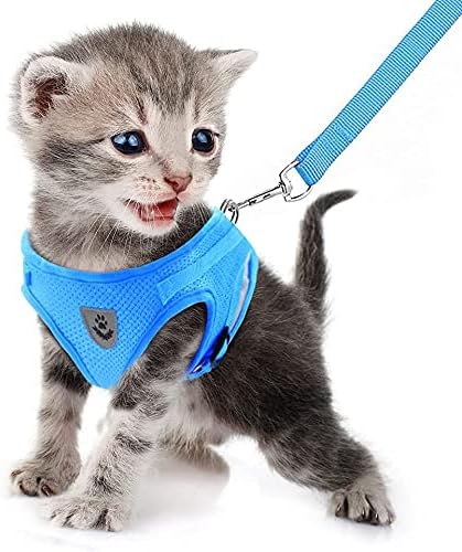 FEimaX Dog Harness and Leash Set for Walking, Soft Mesh Adjustable Easy Control Lightweight Cat Vest Harnesses with Reflective Strips, Escape Proof Small Dogs Cats Vests (Azure, X-Large)