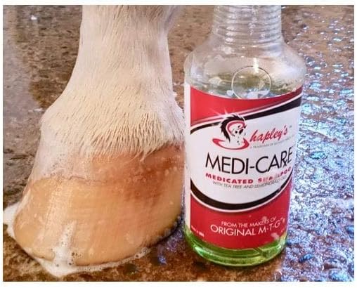 SHAPLEY'S 076146 Medi-Care Med Shampoo W/Tea Tree & Lemon Grass, 32 oz