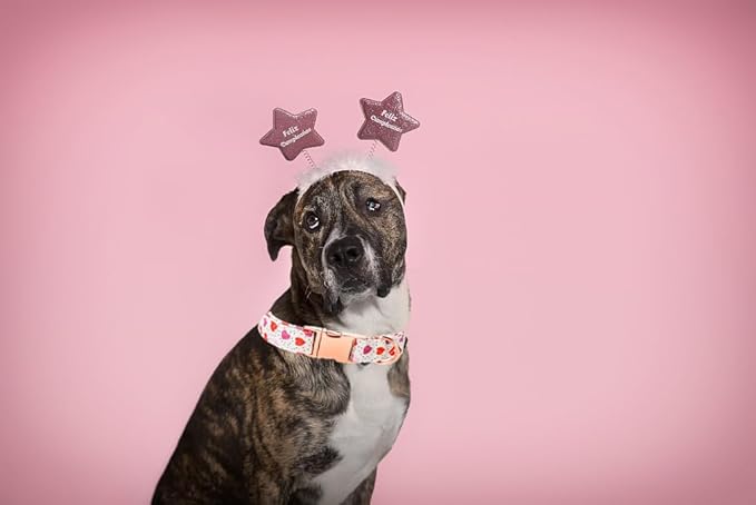 Lionet Paws Valentine Day Dog Collar, Heavy-Duty Cute Pink Heart Pattern Collar with Metal Buckle Pet Necklace for Small Medium Dog Gift, Neck 13.5-22 inches