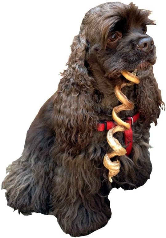 HDP Dental Jumbo Curly Bully Sticks Light 7"-9" USA Odor Free Size:Bag of 50