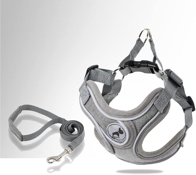 Dog Harness with Leash Set, No Pull Reflective Strips Adjustable Step in Dog Collars Harness with Breathable Padded Vest Harness for Small Large Dogs Training and Running (S, Gray)
