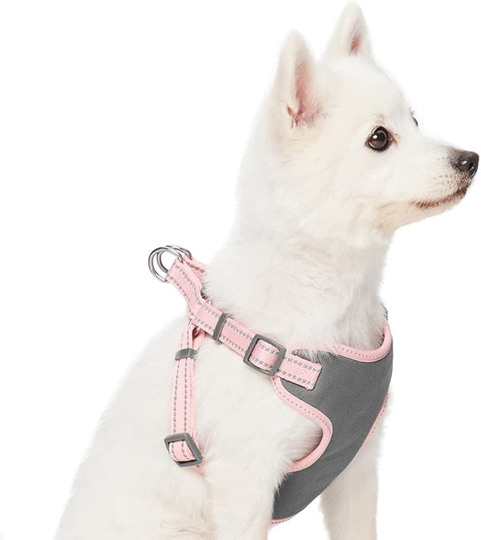 Blueberry Pet Essentials Pastel Color Reflective Dog Harness Vest, Chest Girth 17.5" - 21", Baby Pink, Small, Adjustable Harnesses for Dogs