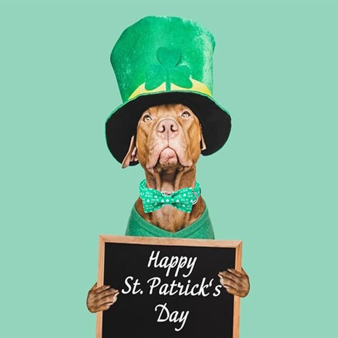 Unique Style Paws St. Patrick's Day Dog Collar with Bow Green Clover Dog Collar Bowtie Bowtie Collar for Large Medium Small Dogs