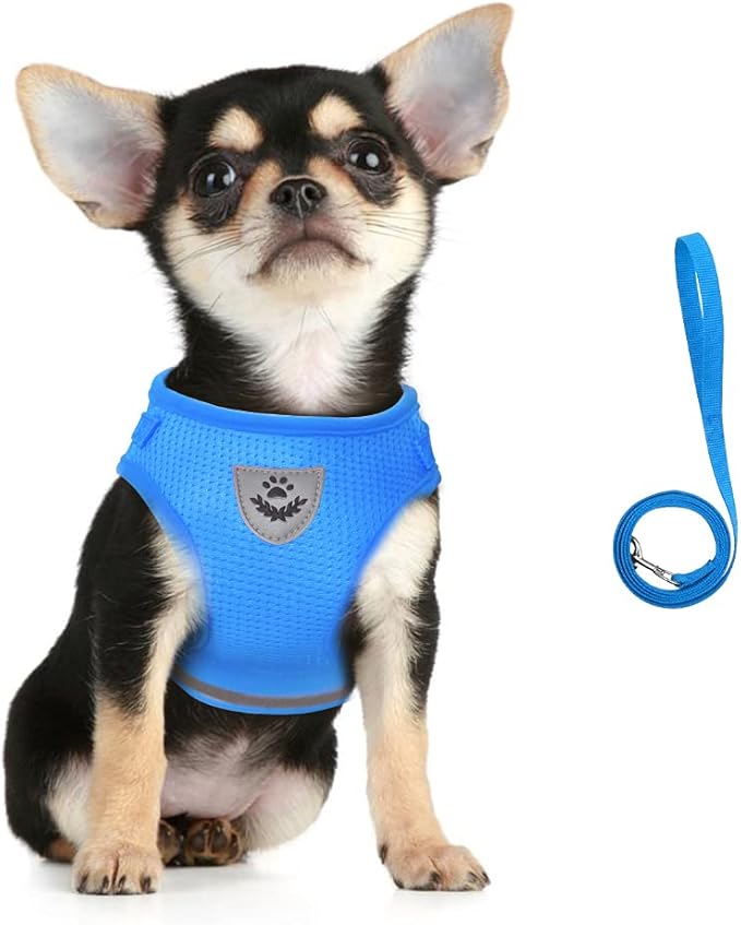 FEimaX Dog Harness and Leash Set for Walking, Soft Mesh Adjustable Easy Control Lightweight Cat Vest Harnesses with Reflective Strips, Escape Proof Small Dogs Cats Vests (Azure, X-Large)