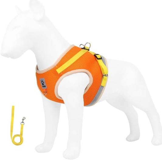 leconpet Dog Harness and Leash Set, Reflective Step in Harness Vest Set-Hook and Loop Fasteners and Buckle Design Combined with Double D Ring on The Back and Chest Ring (Orange, S)