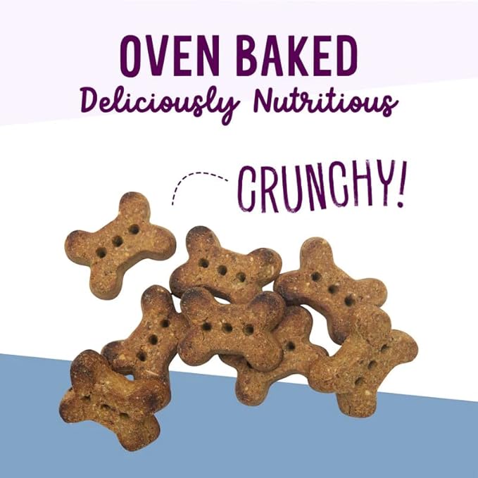 Health Extension Oven-Baked Dog Treats, 6oz (170g), Lamb & Blueberry Recipe – Gluten & Grain-Free, Superfood-Infused, Crunchy Biscuits for Puppy Training (Pack of 2)