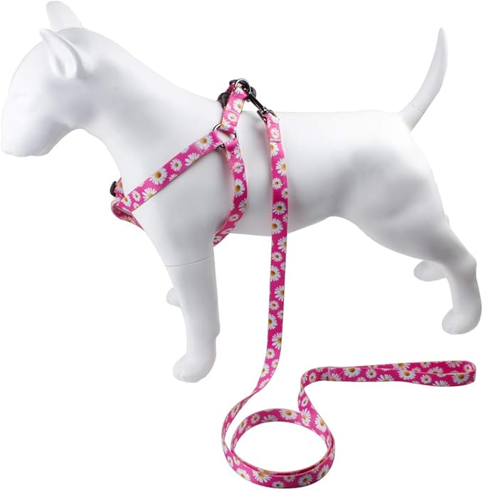 QQPETS Dog Harness Leash Set Adjustable Heavy Duty No Pull Halter Harnesses for Small Medium Large Breed Dogs Back Clip Anti-Twist Perfect for Walking (XS(12"-18" Chest Girth), Daisy)