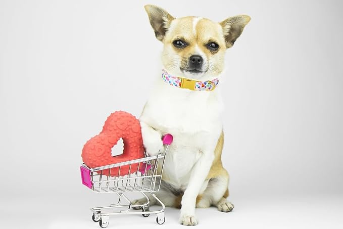 Lionet Paws Valentine Day Dog Collar, Heavy-Duty Cute Colorful Heart Pattern Collar with Metal Buckle Pet Necklace for Puppy and Cats Gift, X Small, Neck 8-12 inches