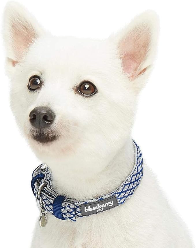 Blueberry Pet 2 Patterns Diamond Pattern Adjustable Neoprene Padded Dog Collar with Metal Buckle - Royal Blue, Neck 17-20.5", for Large Breed