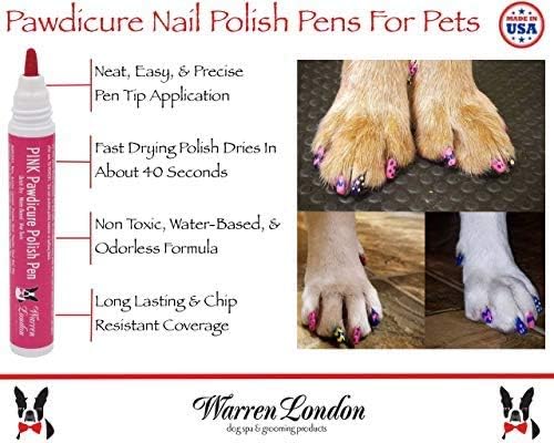 Warren London Dog Gift Box