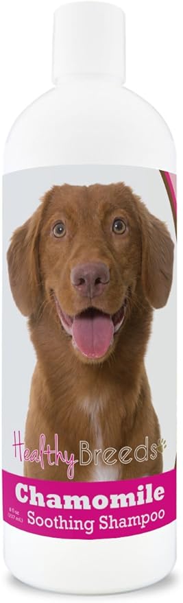 Healthy Breeds Nova Scotia Duck Tolling Retriever Chamomile Soothing Dog Shampoo 8 oz