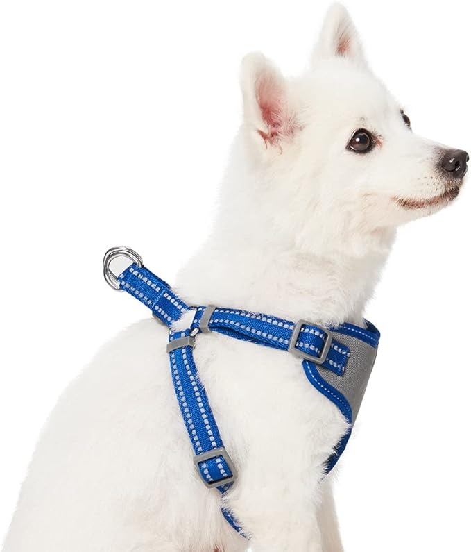 Blueberry Pet Essentials Pastel Color Reflective Dog Harness Vest, Chest Girth 17.5" - 21", Navy, Small, Adjustable Harnesses for Dogs