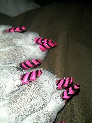 Warren London Pawdicure Dog Nail Polish Pens | Made in USA | Quick Dry, Low Odor, Non-Toxic Dog Accessories | Ideal for Dog Birthday, Dog Costume | 13 Colors | Neon Pink
