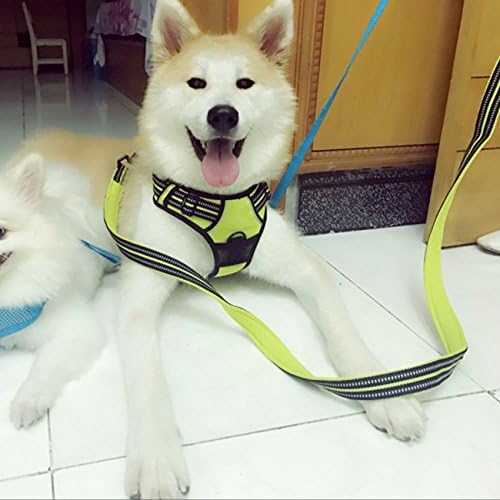 Reflective Nylon No-Pull Dog Harness and Training Leash Set Padded Durable Adjustable(L, Green Set)