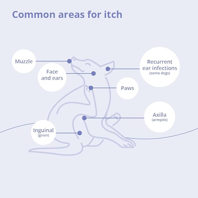 Shampoo for Dogs, Cats and Horses, Gallon