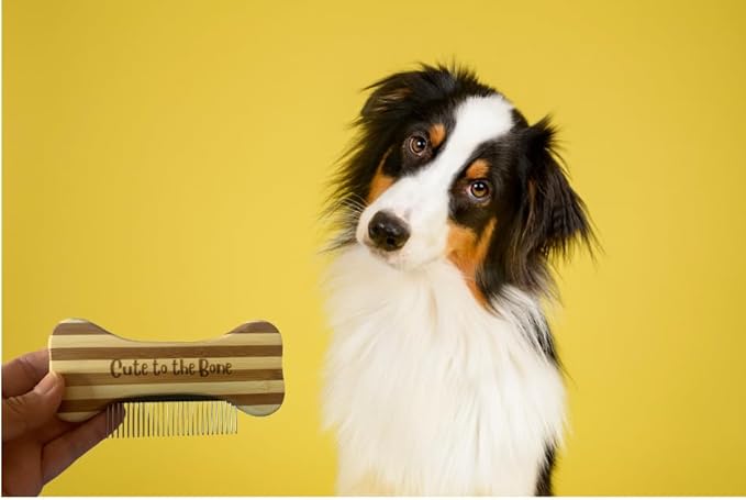 Cute to the Bone Bamboo Dog Comb