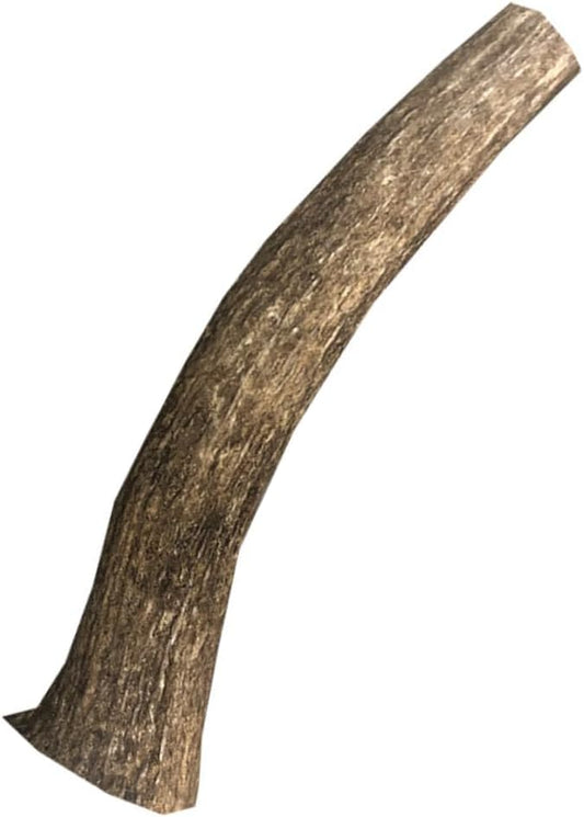 hotspot pets Premium Medium Whole Deer Antlers for Dogs - 5+ Inch Medium Sized Deer Antler Dog Chews - Naturally Shed for Small and Medium Breed Aggressive Chewers - Sourced in USA (Pack of 1)