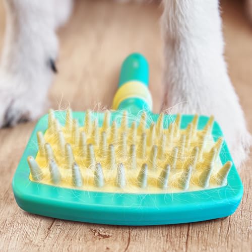 Jelly Pet Deshedding Dog Bath Brush Scrubber, Bath Brush for Dogs, Pet Shower Brush, Bath Supplies, Curry Brush for Dogs, Dog Bath Brush for Short Haired Dogs, Dog Wash Brush, Dog Grooming Brush