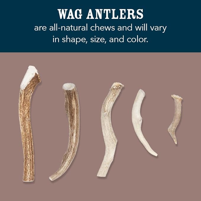 Amazon Brand - Wag Dog Elk Antler Chew, Naturally Shed, Whole, Large 8-9.5 inches (Best for Dogs 30-45 lbs), 3.60 Ounce (Pack of 4)