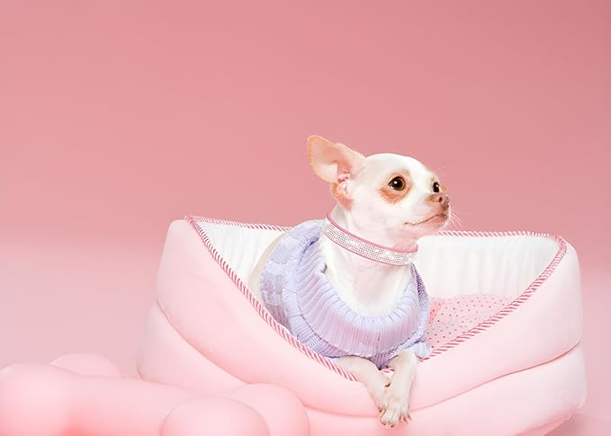 Bling Small Dog Collar Leash Set, Puppy Collar with Rhinestone Crystal Diamond Glitter Female Girls Cat Collars for XXS XS Small Medium Large Dogs Chihuahua Poodle Yorkshire (Pink XS)