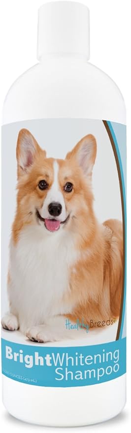 Healthy Breeds Pembroke Welsh Corgi Bright Whitening Shampoo 12 oz