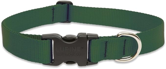 LupinePet Basics 1" Green 25-31" Adjustable Collar for Extra Large Dogs