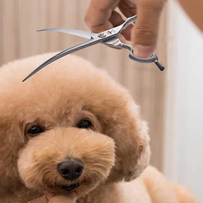 PURPLEBIRD 6.5 Inch Downward Curved Dog Grooming Scissors Pet Cutting Shears Professional Safety Blunt Tip Trimming Shearing for Dog Cat Face Paw Limb Japanese Stainless Steel Silver