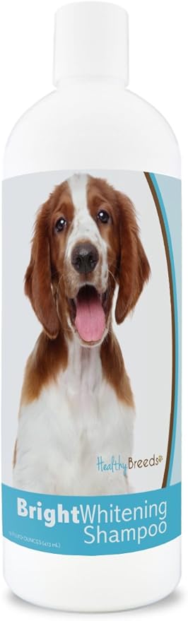 Healthy Breeds Welsh Springer Spaniel Bright Whitening Shampoo 12 oz