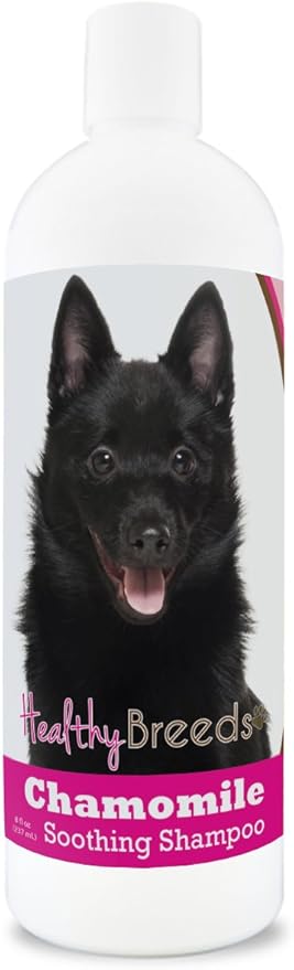 Healthy Breeds Schipperke Chamomile Soothing Dog Shampoo 8 oz