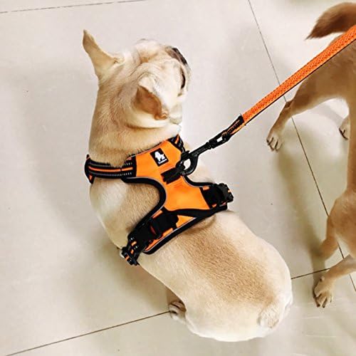 Reflective Nylon No-Pull Dog Harness and Training Leash Set Padded Durable Adjustable(L, Orange Set)
