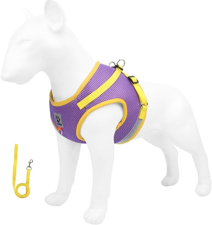 leconpet Dog Harness and Leash Set, Reflective Step in Harness Vest Set-Hook and Loop Fasteners and Buckle Design Combined with Double D Ring on The Back and Chest Ring (Purple, M)