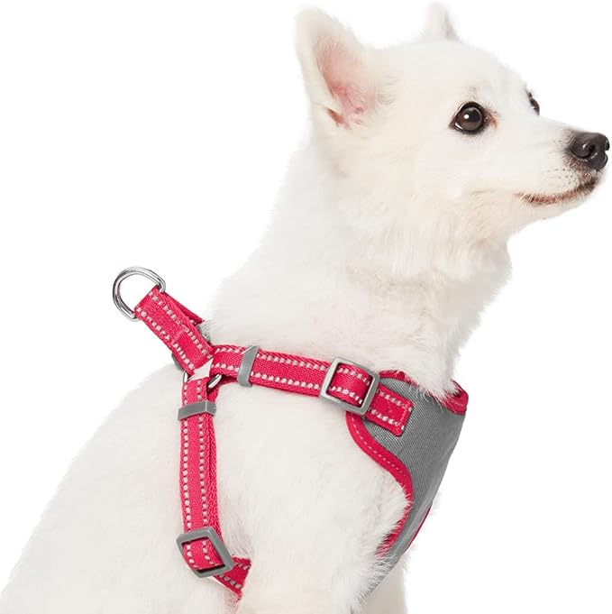 Blueberry Pet Essentials Pastel Color Reflective Dog Harness Vest, Chest Girth 17.5" - 21", Very Berry, Small, Adjustable Harnesses for Dogs
