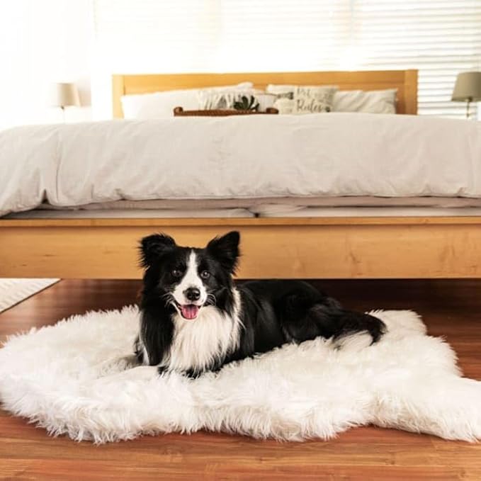 PupRug Orthopedic Dog Bed for Large Dogs with Fluffy Soft Faux Fur and Memory Foam for Joint Pain Relief, Machine Washable and Waterproof Couch Bed, Polar White, Medium