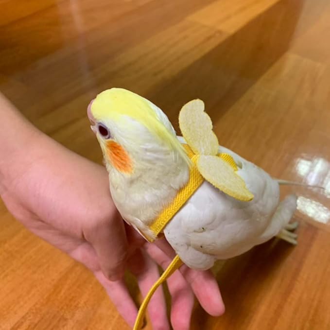TBWHL Adjustable Parrot Bird Harness Leash Set Anti-bite Training Harness for Parrots Outdoor Flying Rope for Pigeon Grey Parrot Midsize Sulphur-Crested Cockatoo L (Yellow)