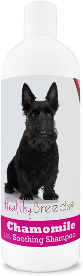 Healthy Breeds Chamomile Dog Shampoo & Conditioner with Oatmeal & Aloe for Scottish Terrier - OVER 200 BREEDS - 8 oz - Gentle for Dry Itchy Skin - Safe with Flea and Tick Topicals