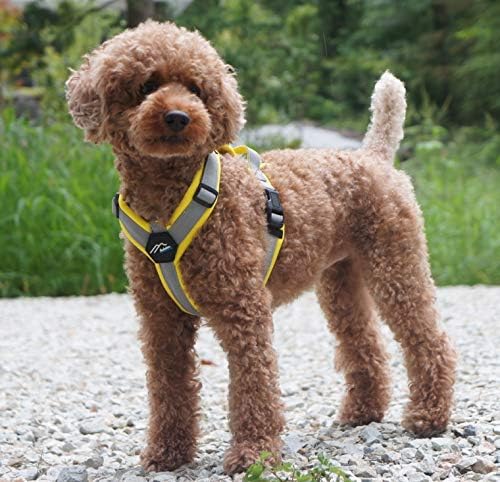 Hakusan Zero Harness (XL, Yellow x Grey)